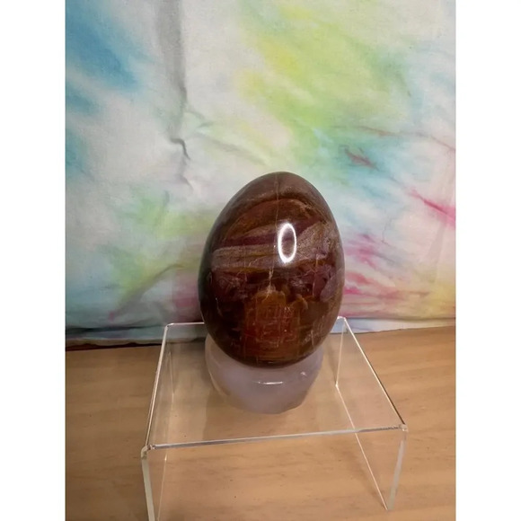 Petrified Wood Egg - Picture 4 of 4